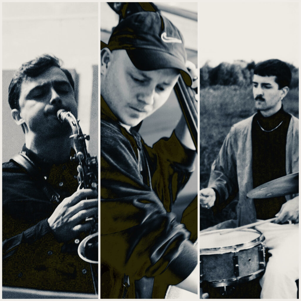 Mück/Polatzky/Kleimann