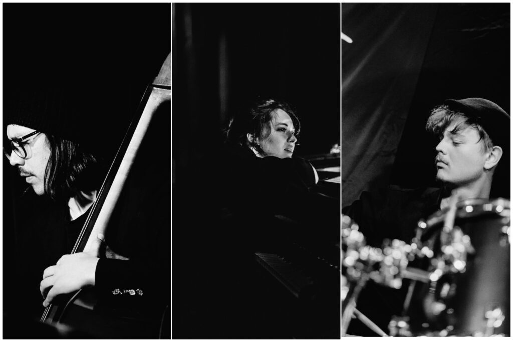 Anna Siroshtan Trio